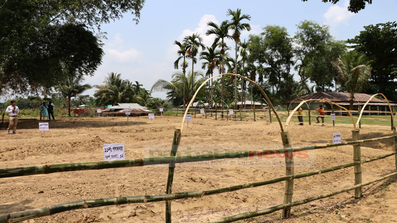 Bhushanchhara mass grave