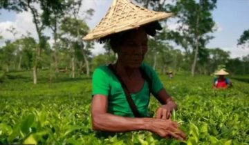 preview-img-256962