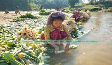 preview-img-271136