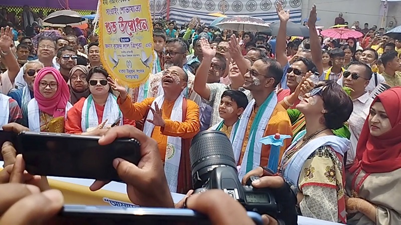 Dik ustida tola yosh mushuk surati