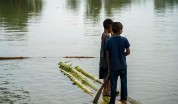 preview-img-322245