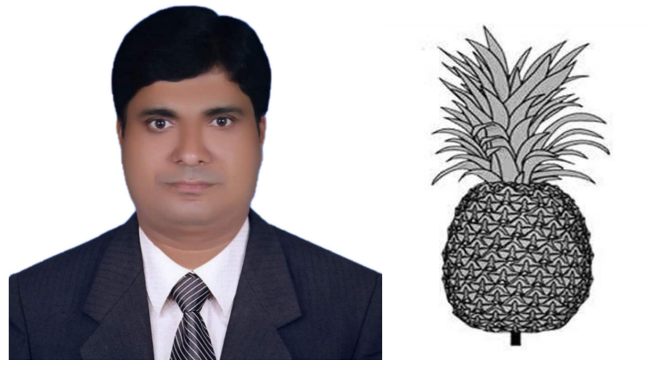 fec-image