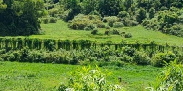 Anusda 25 sm jinsiy olatni Chelyabinsk kocha jinsiy aloqa video