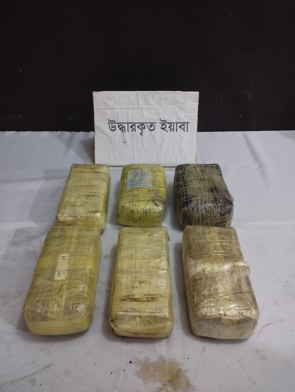 Eng katta eshak porno