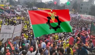 preview-img-346474