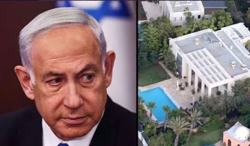 preview-img-351130