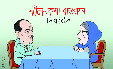 külot ichida sochilgan mushuk